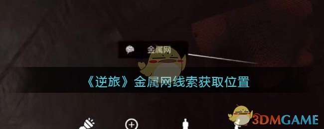 《孙美琪疑案：逆旅》五级线索——金属网