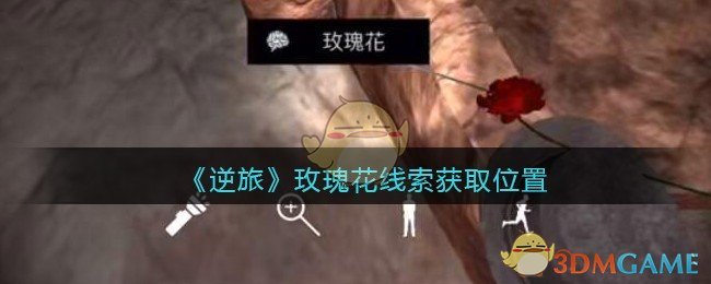 《孙美琪疑案：逆旅》五级线索——玫瑰花