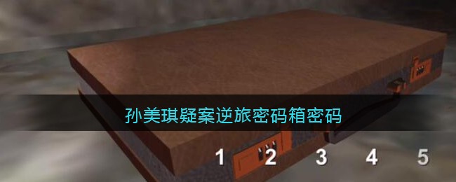 孙美琪疑案逆旅密码箱密码