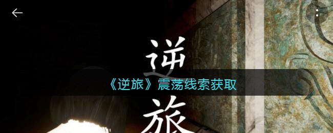 《孙美琪疑案：逆旅》四级线索——震荡