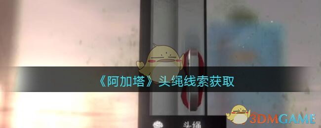 《孙美琪疑案：阿加塔》五级线索——头绳