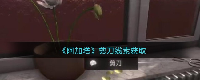 《孙美琪疑案：阿加塔》五级线索——剪刀