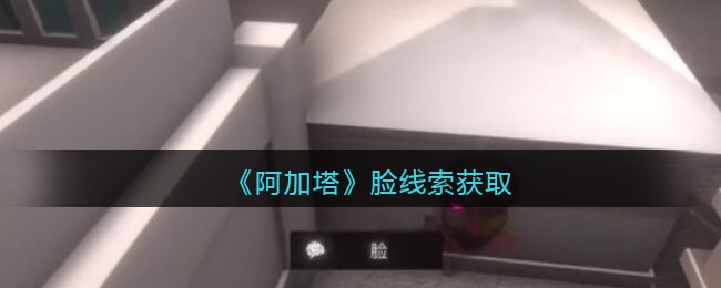 《孙美琪疑案：阿加塔》四级线索——脸