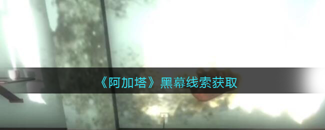 《孙美琪疑案：阿加塔》五级线索——黑幕