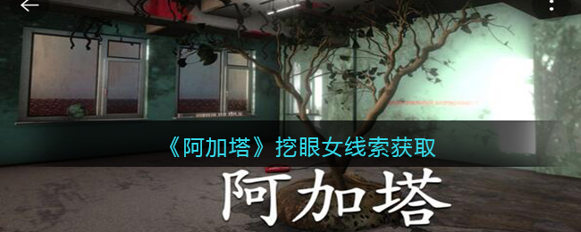 《孙美琪疑案：阿加塔》五级线索——挖眼女