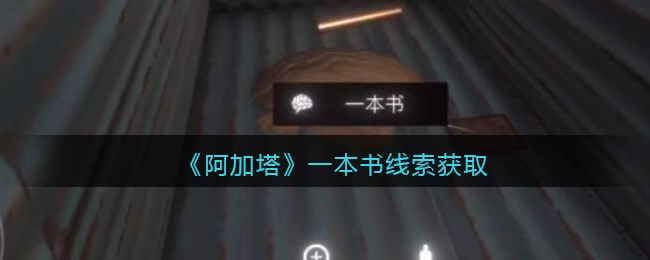 《孙美琪疑案：阿加塔》三级线索——一本书