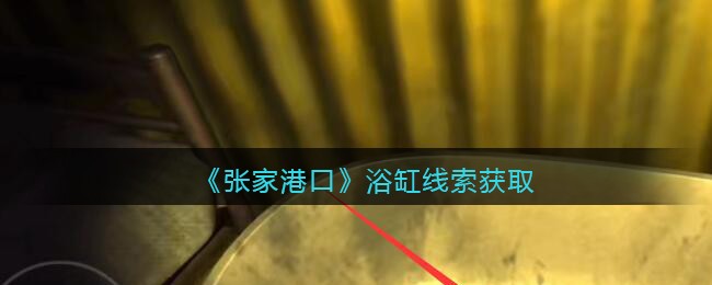 《孙美琪疑案：张家港口》五级线索——浴缸