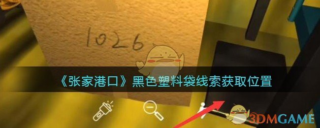 《孙美琪疑案：张家港口》五级线索——黑色塑料袋