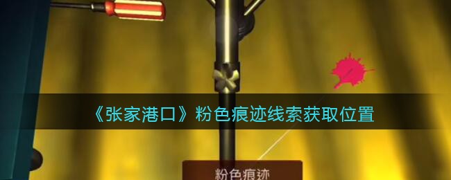 《孙美琪疑案：张家港口》五级线索——粉色痕迹