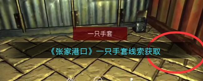 《孙美琪疑案：张家港口》五级线索——一只手套