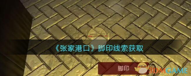 《孙美琪疑案：张家港口》五级线索——脚印