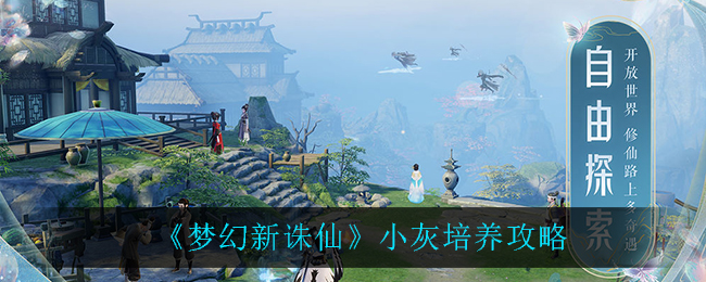 《梦幻新诛仙》小灰培养攻略