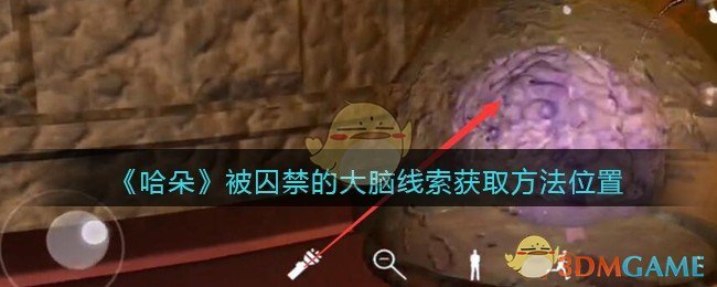 《孙美琪疑案：哈朵》五级线索——囚禁的大脑