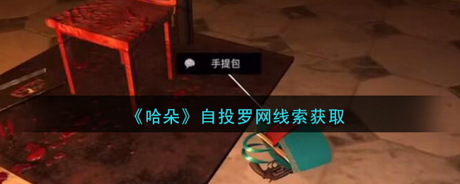 《孙美琪疑案：哈朵》二级线索——自投罗网