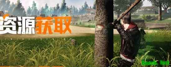 黎明觉醒：生机资源获取全攻略