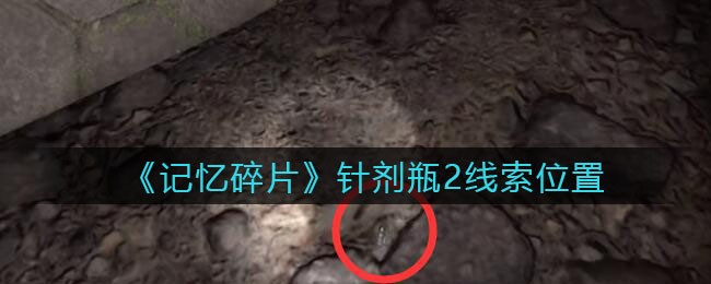 《孙美琪疑案：记忆碎片》五级线索——针剂瓶2