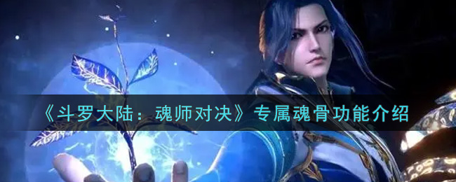 《斗罗大陆：魂师对决》专属魂骨功能介绍