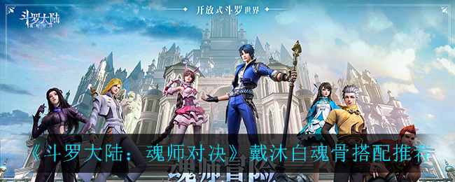 《斗罗大陆：魂师对决》戴沐白魂骨搭配推荐