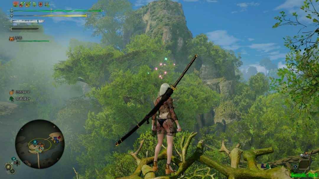 怪物猎人：荒野大幅缩减材质包致4K画质倒退，玩家质疑负优化