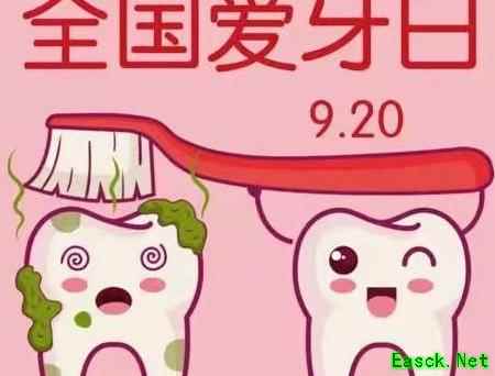 汤姆猫总动员：护牙小知识