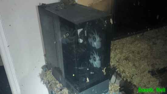 国外玩家家里突发大火屋顶坍塌！电脑竟然一点没事