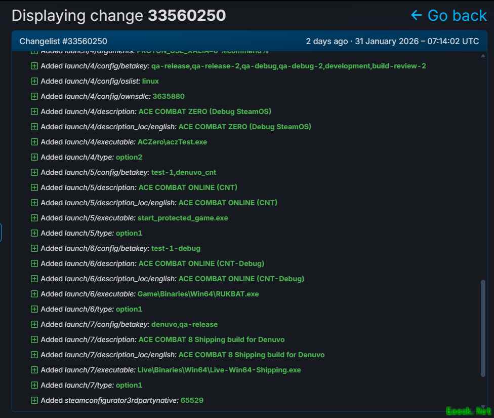 皇牌空战8：希孚之翼或采用D加密技术护航2026年多平台发售