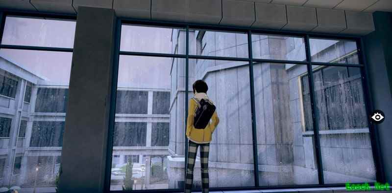 女神异闻录：夜幕魅影猫之宝藏寻宝记