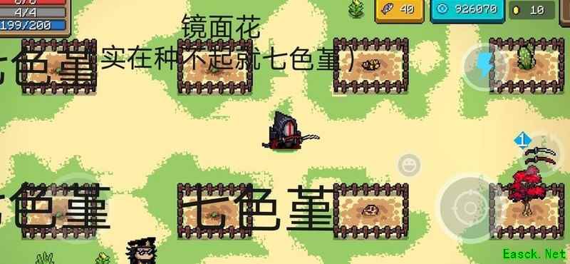 元气骑士冰杖流挂机攻略