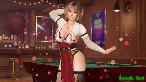 《维纳斯璀璨假期：死或生Xtreme》梅格新服装