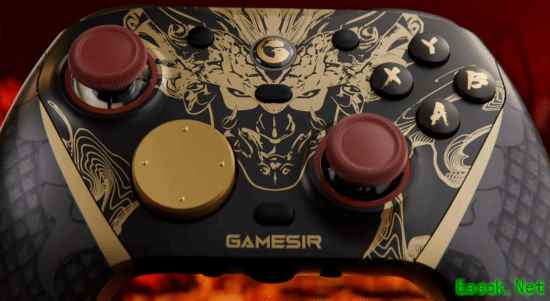 盖世小鸡x《仁王3》联名手柄公开！霸气黑金不得不买