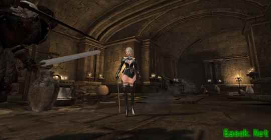 照亮黑暗的曙光之剑！《洛奇英雄传》新角色卡莉亚战斗欣赏！