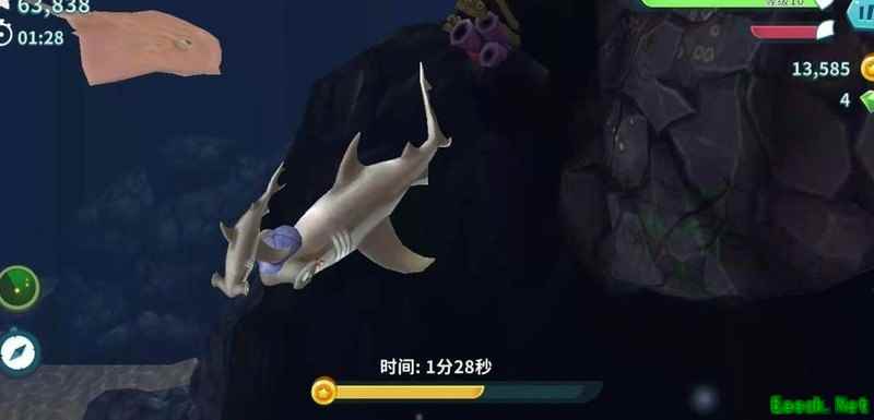 饥饿鲨：双髻鲨淘金创纪录