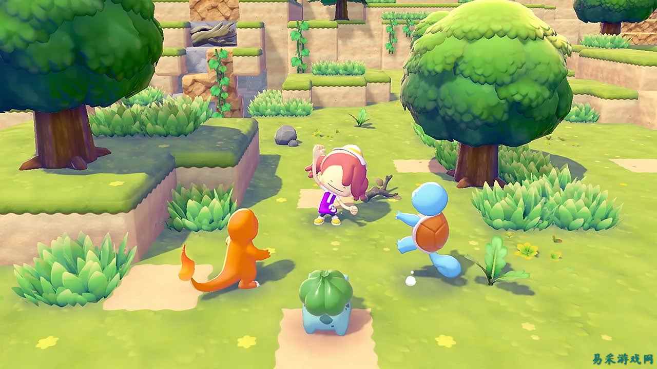 《宝可梦 Pokopia》：最终前瞻