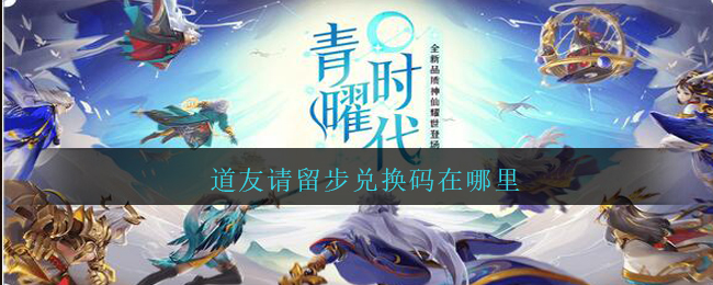 道友请留步兑换码在哪里