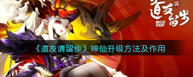 《道友请留步》神仙升级方法及作用