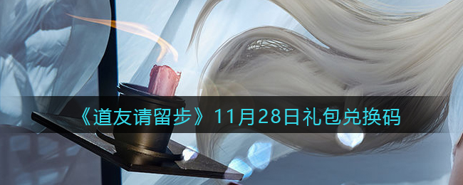 《道友请留步》11月28日礼包兑换码