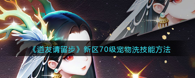 《道友请留步》新区70级宠物洗技能方法