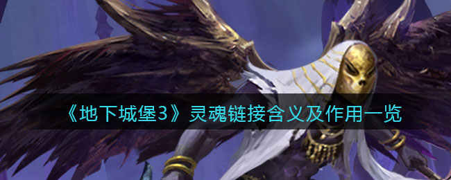 《地下城堡3：魂之诗》灵魂链接含义及作用介绍