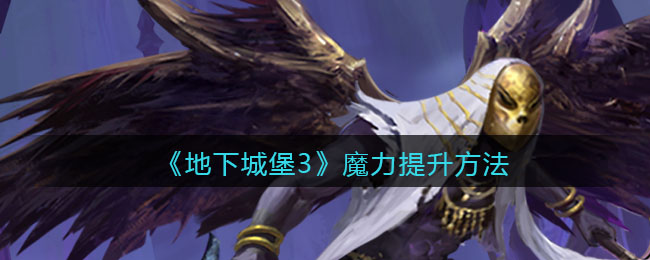 《地下城堡3：魂之诗》魔力提升方法