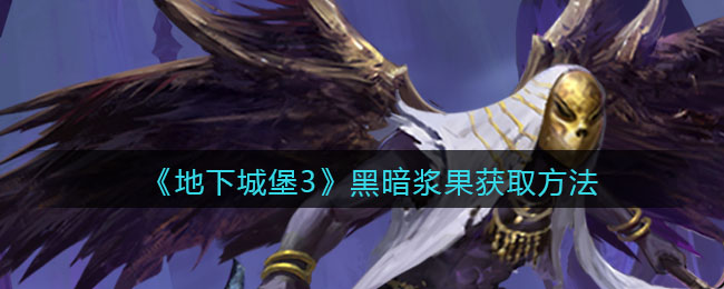 《地下城堡3：魂之诗》黑暗浆果获取方法
