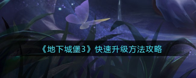 《地下城堡3：魂之诗》快速升级方法攻略