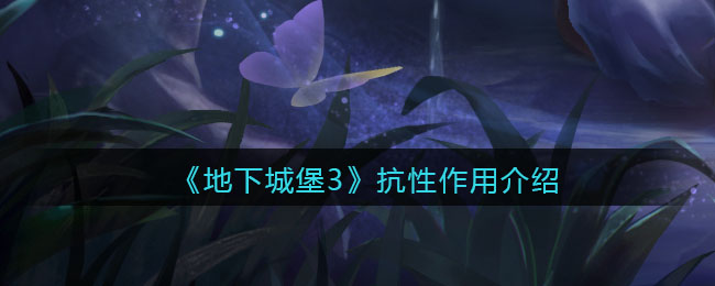 《地下城堡3：魂之诗》抗性作用介绍