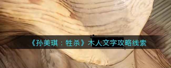 《孙美琪疑案：牲杀》五级线索——木人文字