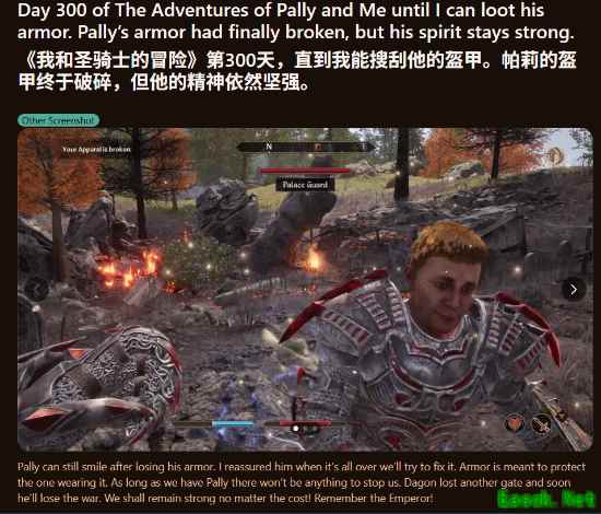 玩家三百天追踪上古卷轴4守卫帕利,终见其摘盔真容