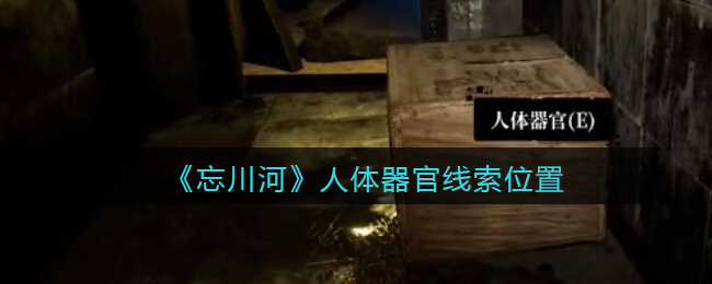 《孙美琪疑案：忘川河》三级线索——人体器官