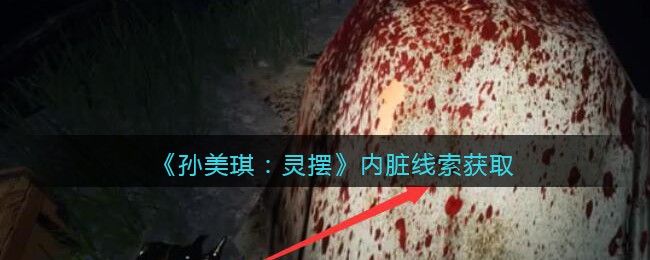 《孙美琪疑案：灵摆》五级线索——内脏