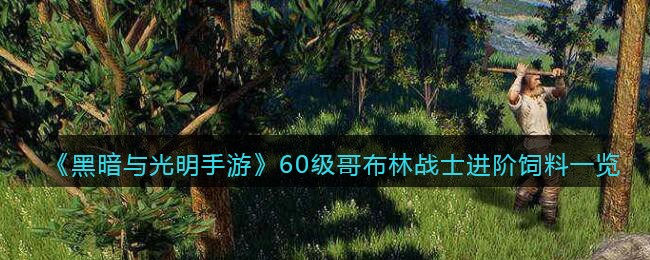 《黑暗与光明手游》60级哥布林战士进阶饲料一览