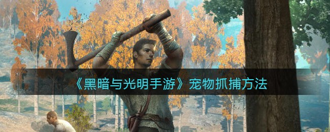 《黑暗与光明手游》宠物抓捕方法