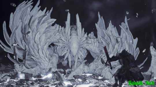 《怪物猎人：荒野》一周年纪念  特别任务和活动公布