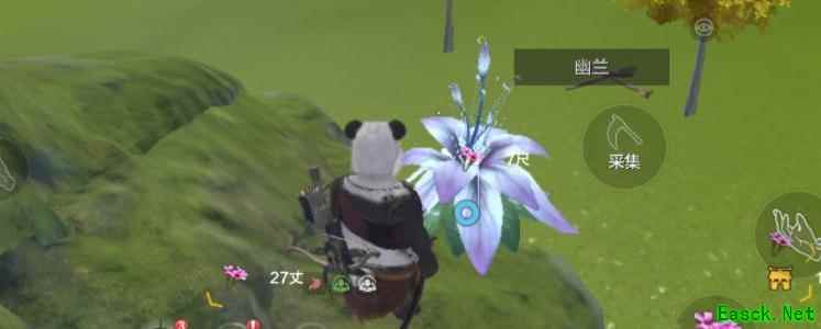 妄想山海幽兰草采集攻略